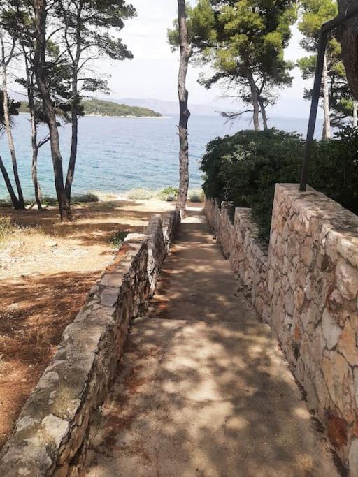 Apartman Attractive - Vitarnja! Jelsa (Hvar)